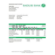 Brunei Baiduri fake bank statement Excel and PDF template