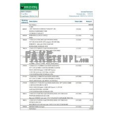 Burkina Faso Bank of Africa fake bank statement Excel and PDF template