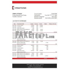 Cameroon Afriland First fake bank statement Excel and PDF template