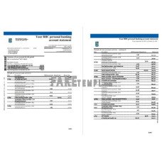 Canada Royal Bank of Canada (RBC) fake bank statement Excel and PDF template, (4 pages)