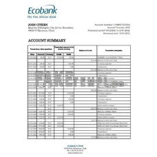 Chad Ecobank fake bank statement Excel and PDF template