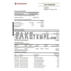 Chile Scotiabank fake bank statement Excel and PDF template