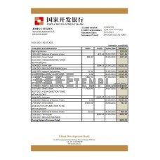 China Development fake bank statement Excel and PDF template