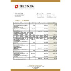 China Development fake bank statement Word and PDF template