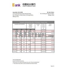 China Everbright fake bank statement Excel and PDF template