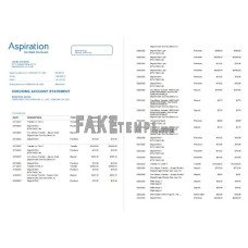 Egypt Aspiration fake bank statement Word and PDF template, 4 pages