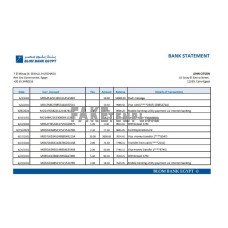 Egypt Blom Bank of Egypt fake bank statement Excel and PDF template