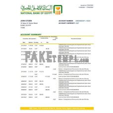 Egypt National Bank of Egypt fake bank statement Excel and PDF template