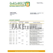 Egypt National Bank of Egypt fake bank statement Word and PDF template