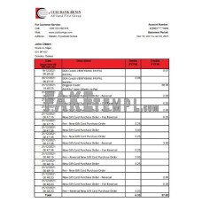 Equatorial Guinea CCEI Bank Benin fake bank statement Excel and PDF template