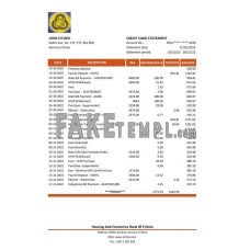 Eritrea Housing and Commerce fake bank statement Excel and PDF template