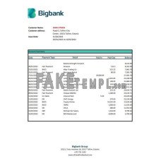 Estonia Bigbank fake bank statement Excel and PDF template