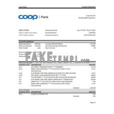 Estonia Coop Pank fake bank statement Excel and PDF template