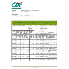 France Credite Agricole fake bank statement Excel and PDF template