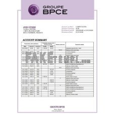 France Groupe BPCE fake bank statement Word and PDF template