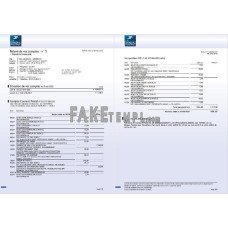 France La Banque Postale fake bank statement Word and PDF template, 3 pages