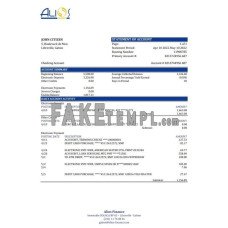 Gabon Alios Finance fake bank statement Excel and PDF template