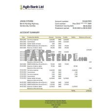 Gambia Arab Gambian Islamic fake bank statement Excel and PDF template