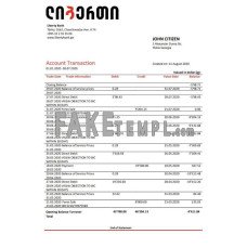 Georgia Liberty fake bank statement Word and PDF template