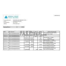 Georgia TBC fake bank statement Excel and PDF template