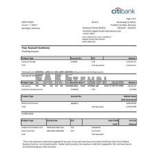 Germany Citibank fake bank statement Excel and PDF template