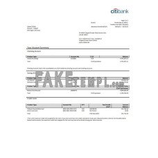 Germany Citibank fake bank statement Word and PDF template