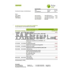 GERMANY FIDOR fake bank statement Word and PDF template