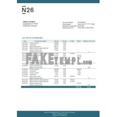 Germany N26 fake bank statement Excel and PDF template