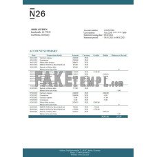 Germany N26 fake bank statement Word and PDF template