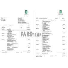 Germany Oldenburgische fake bank statement Word and PDF template, 3 pages