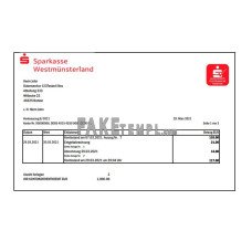 Germany Sparkasse Westmunsterland fake bank statement Excel and PDF template