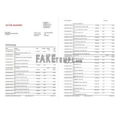 Germany Swiss fake bank statement Word and PDF templateGerman language, 5 pages