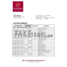 Grenada CBIC fake bank statement Word and PDF template