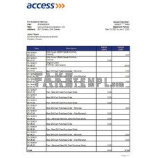 Guinea Access fake bank statement Excel and PDF template