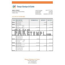 Guinea Banque Islamique de Guinée fake bank statement Excel and PDF template