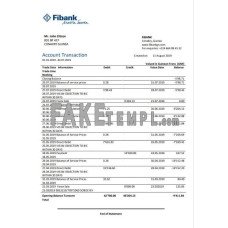 Guinea Fibank fake bank statement Word and PDF template