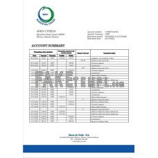 Guinea-Bissau Banco da Uniao fake bank statement Word and PDF template