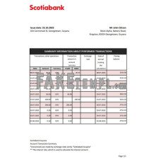 Guyana Bank of Nova Scotia fake bank statement Excel and PDF template