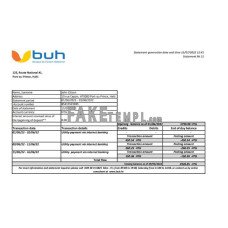 Haiti BUH fake bank statement Excel and PDF template