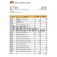 Hawaii First Hawaiian fake bank statement Excel and PDF template