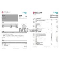 Hong Kong Bank of China (Hong Kong) fake bank statement Excel and PDF template (3 pages)