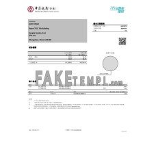 Hong Kong Bank of China (Hong Kong) fake bank statement Excel and PDF template