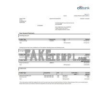 Hong Kong Citibank credit card fake bank statement Excel and PDF template