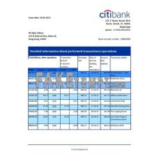 Hong Kong Citibank fake bank statement Excel and PDF template