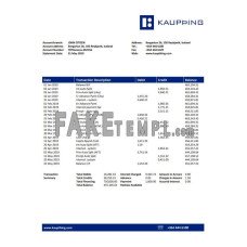 Iceland Kaupthing fake bank statement Word and PDF template