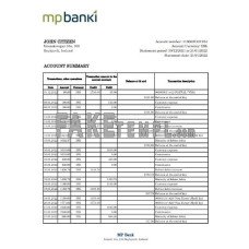 Iceland MP fake bank statement Excel and PDF template