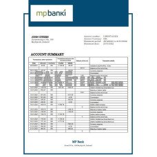 Iceland MP fake bank statement Word and PDF template