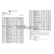 India Axis fake bank statement Excel and PDF template (2 pages)