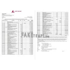 India Axis fake bank statement Word and PDF template(2 pages)