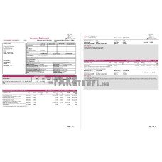 India Axis fake bank statement Word and PDF template, 2 pages, version 2